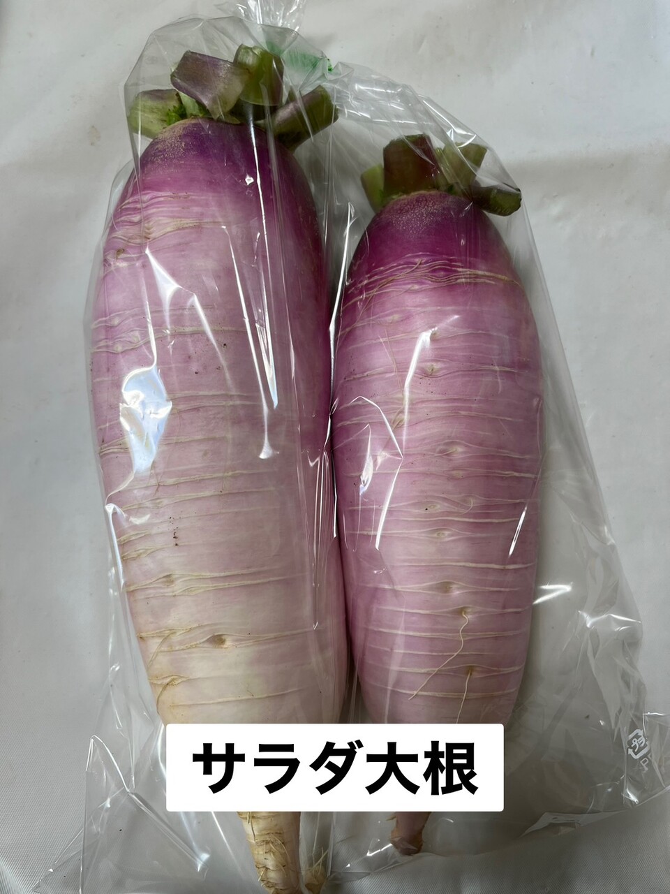 ������纬