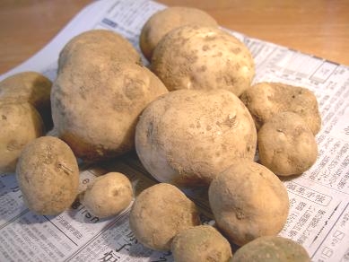 ���㥬����