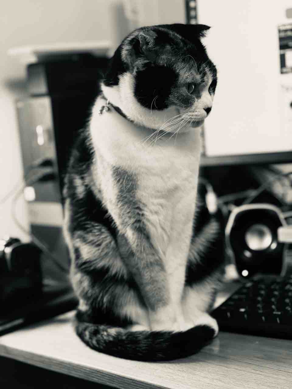 FullSizeRender