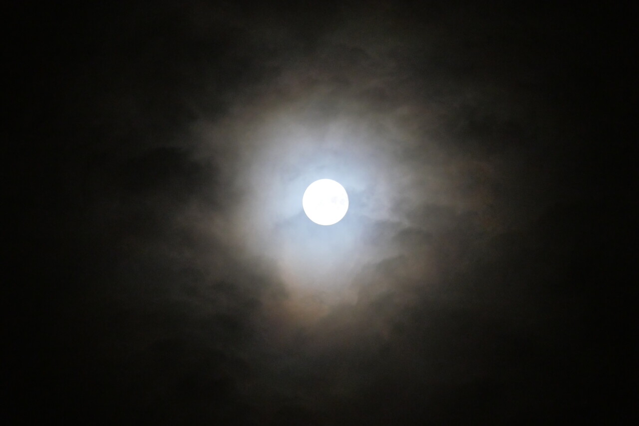 P1003014