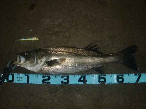 CIMG3098 2