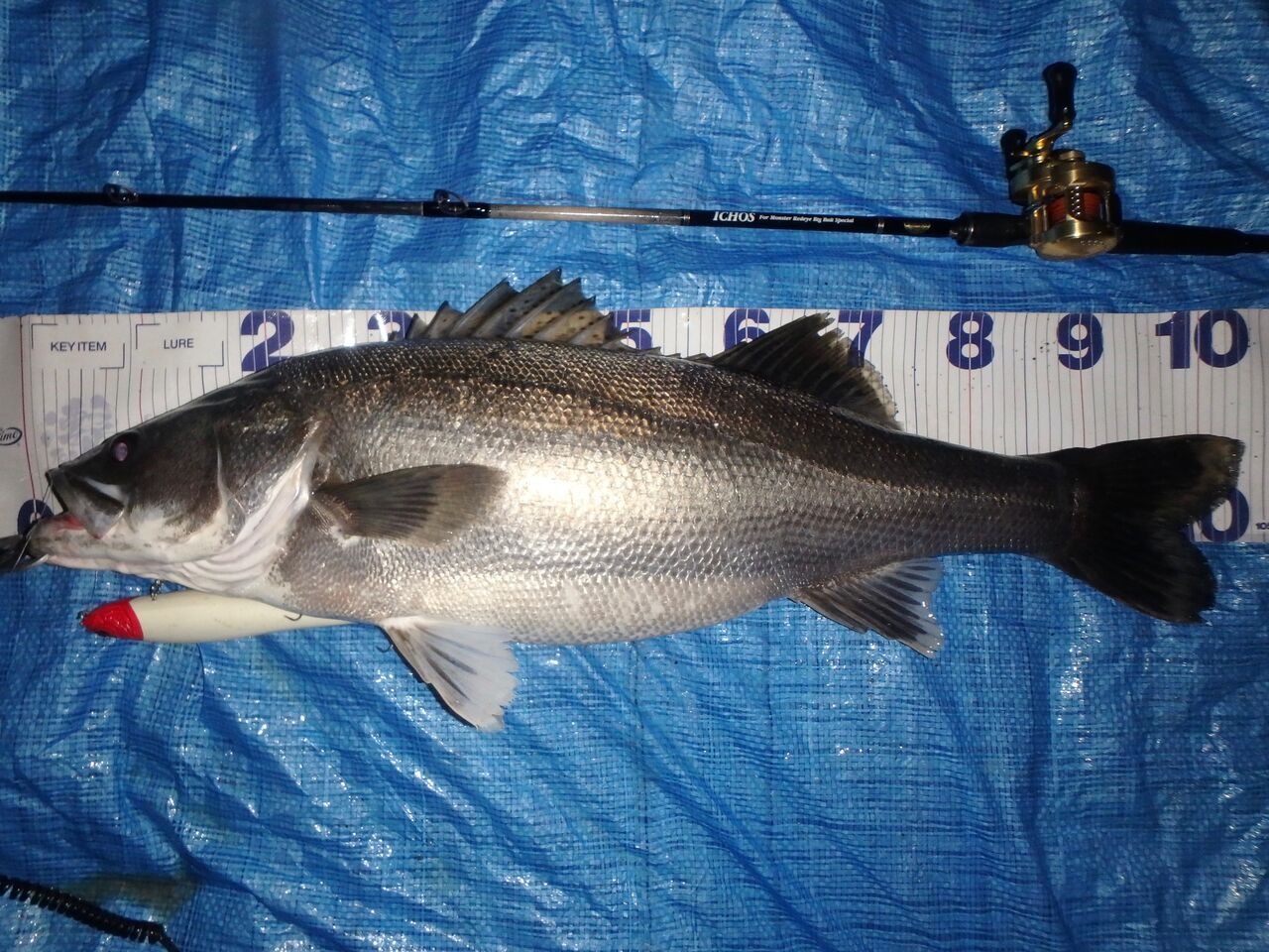 落鮎パターン ビッグベイト5選 ① : 鱸道