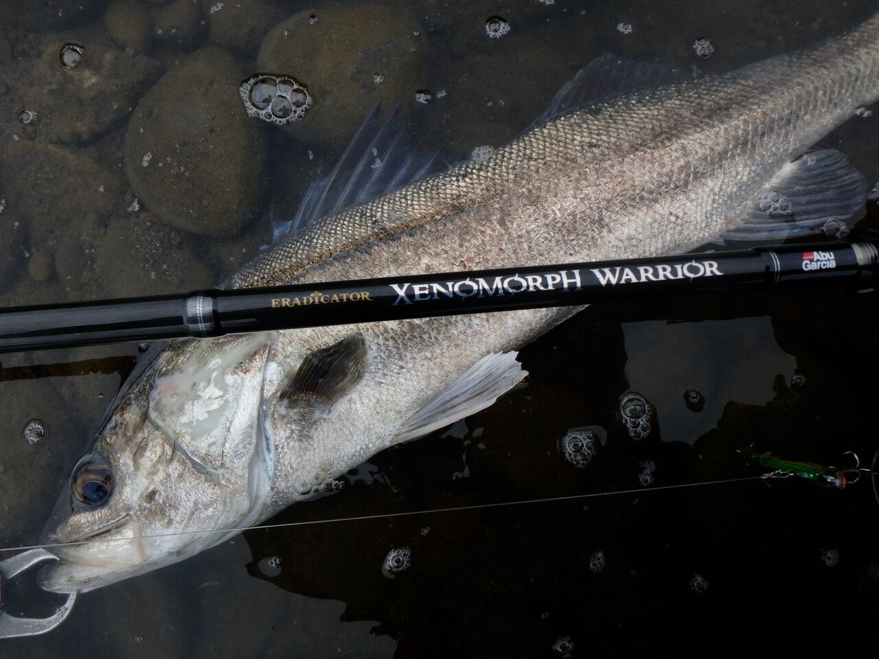 限定品☆アブガルシアAbuGarciaゼノモーフXENOMORPHシーバスロッド Abu