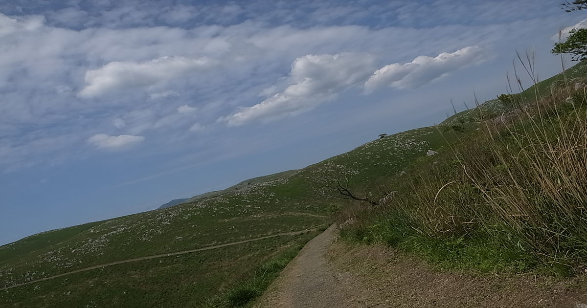 精神障害・障害者（メンタル）に関するWebメディア