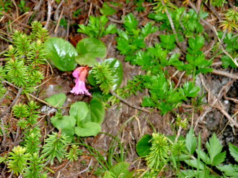 P8060083