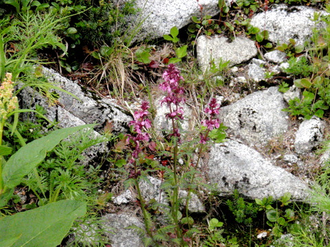 P8060096