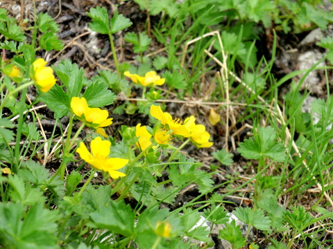P8060082