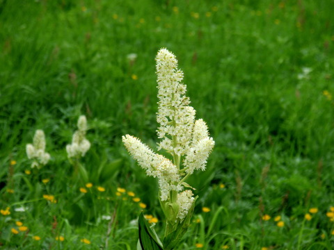 P8060088