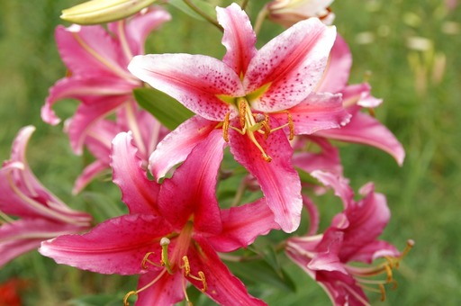 PICT0019