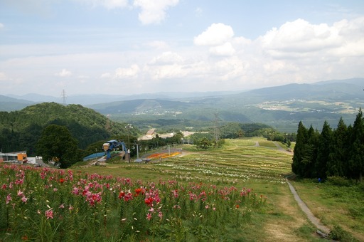 PICT0021