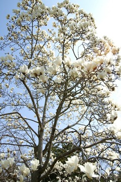 PICT0047