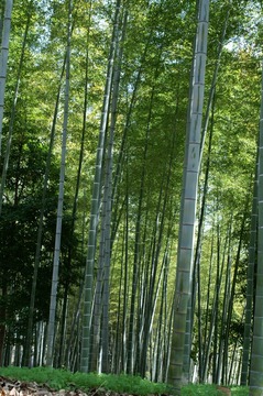 PICT0066