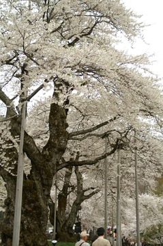 PICT0023