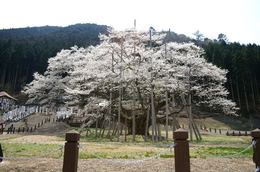 PICT0004