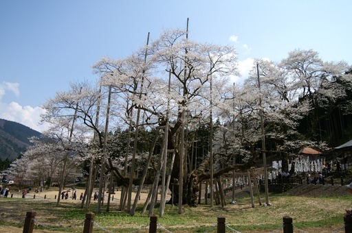 PICT0033