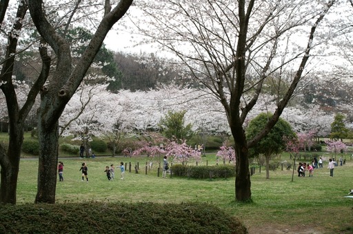 PICT0060