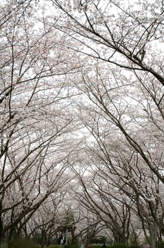 PICT0031