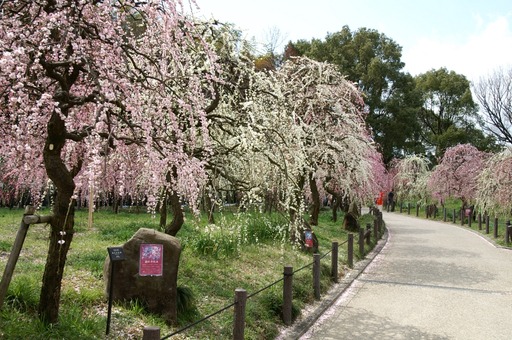 PICT0024