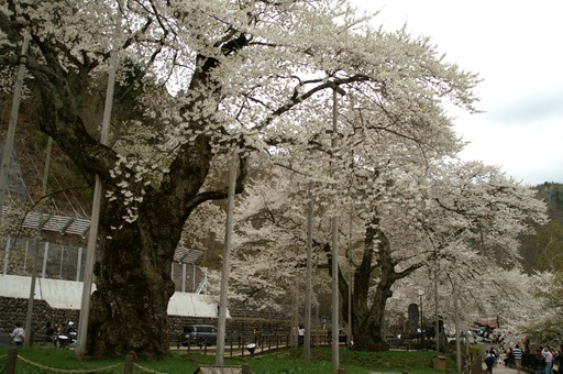 PICT0019