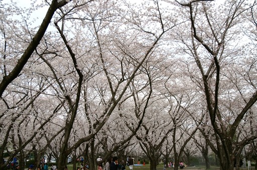 PICT0033