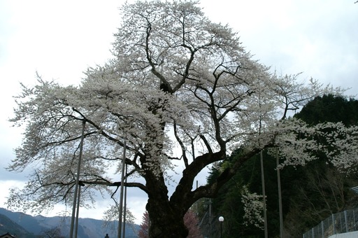 PICT0003