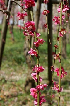 PICT0082