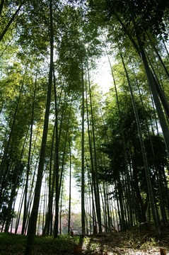 PICT0070