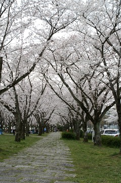 PICT0063
