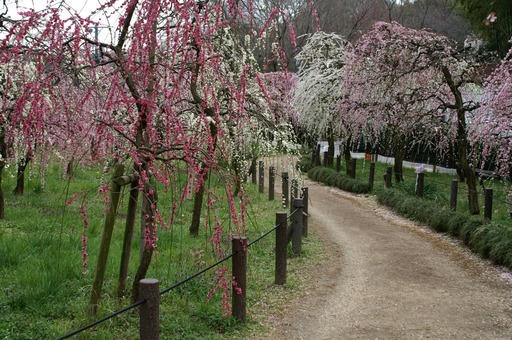 PICT0028