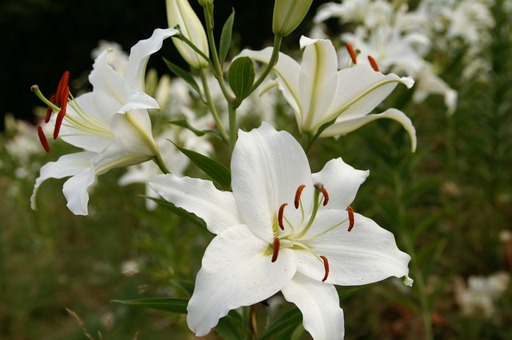 PICT0023