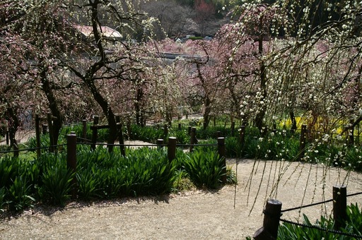 PICT0073