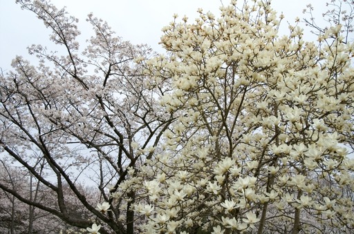 PICT0010