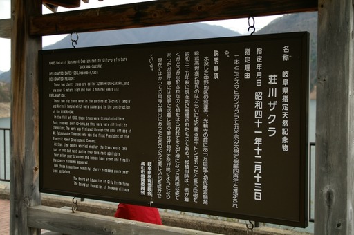 PICT0024