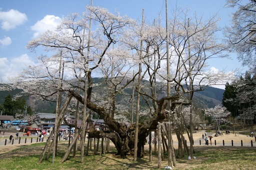 PICT0024