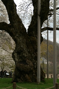 PICT0031