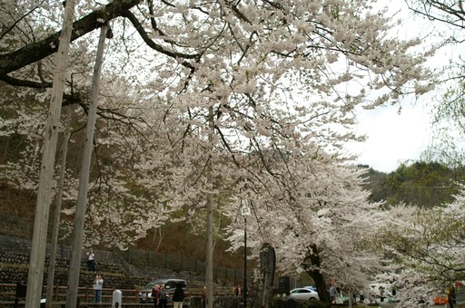 PICT0012