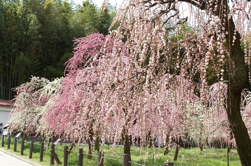 PICT0013