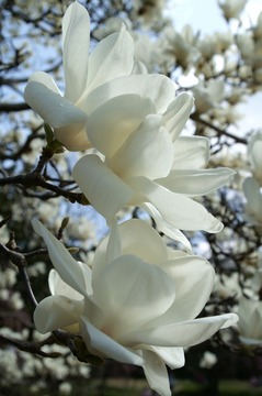 PICT0046