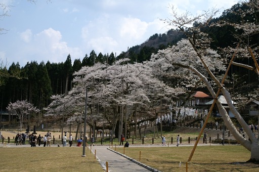 PICT0036