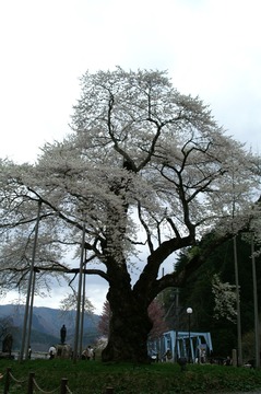 PICT0004
