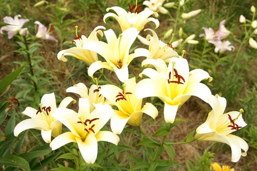 PICT0030