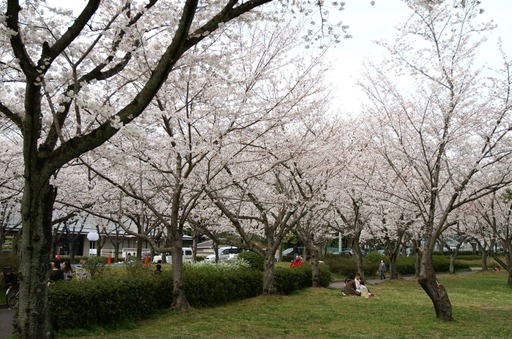 PICT0035