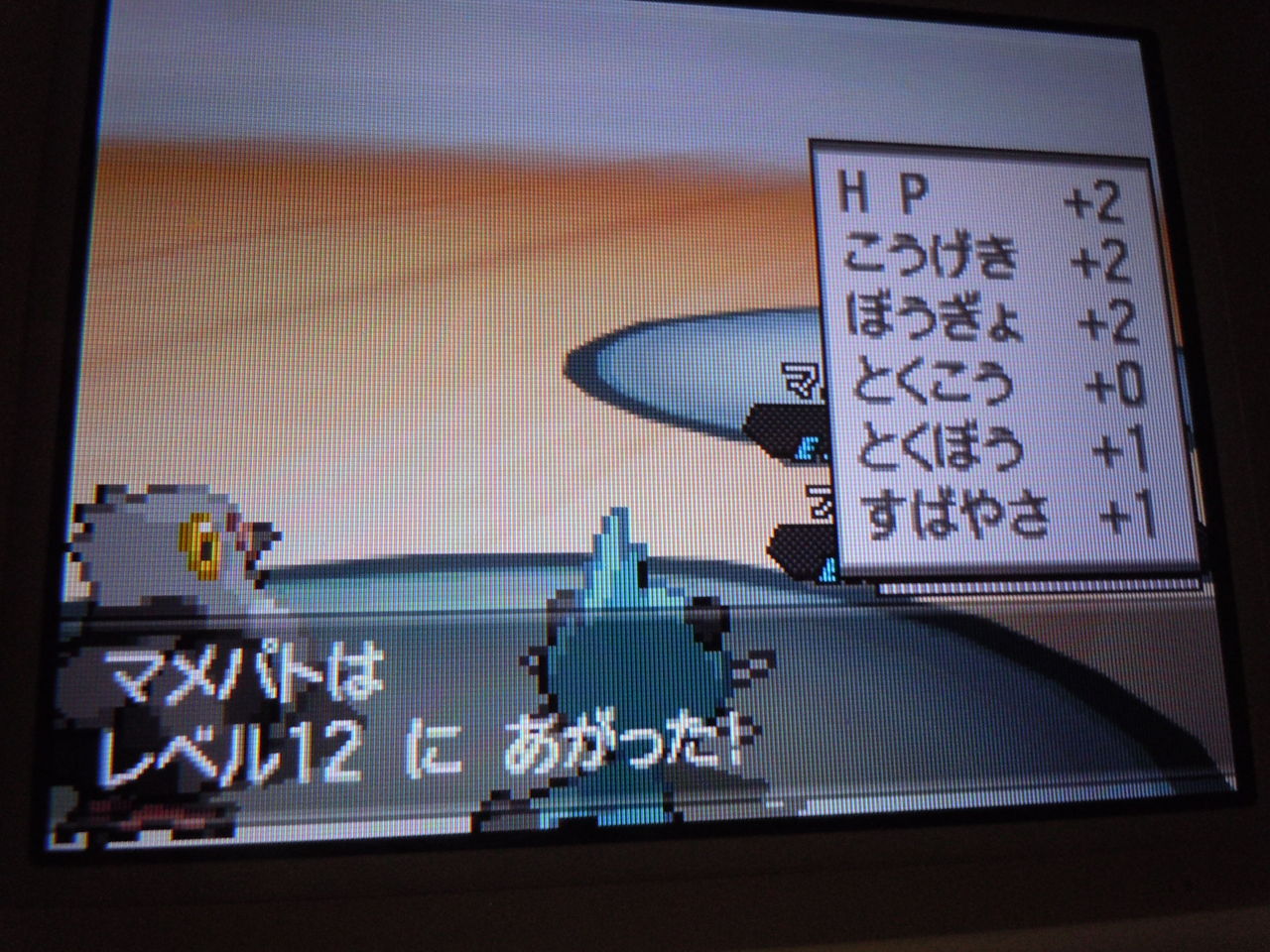 ポケモン ブラック レベル 上げ イメージコレクション ポケモン ブラック レベル 上げ イメージコレクション