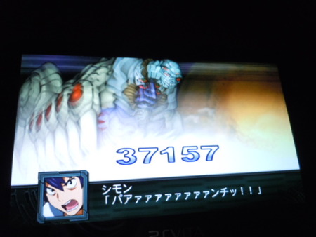 DSCN3954