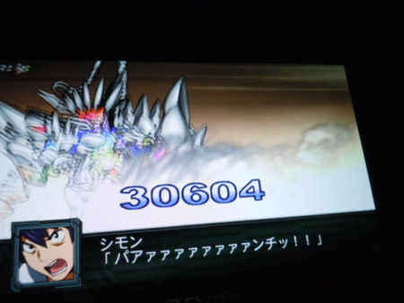 DSCN4009