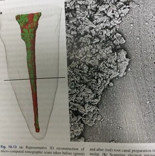 7B22684C-39FA-421B-9453-B528EDA998AE