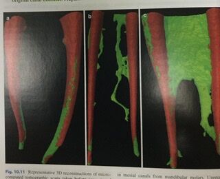 705FC2FF-1FDF-4830-8C8E-BB2D07E00981