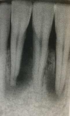 28A17342-F1E0-4BD2-84B7-3D153417CD19