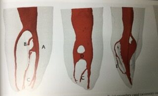 2952F6BB-9CFE-43F5-818B-CF900683303C