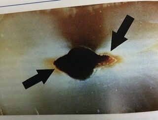 C95B5CFE-7835-48D3-B729-0FC345D94681